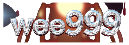 wee999 logo